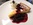 Crostata ricotta e frutti di bosco